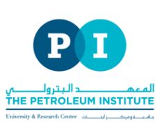 Petroleum-Institute